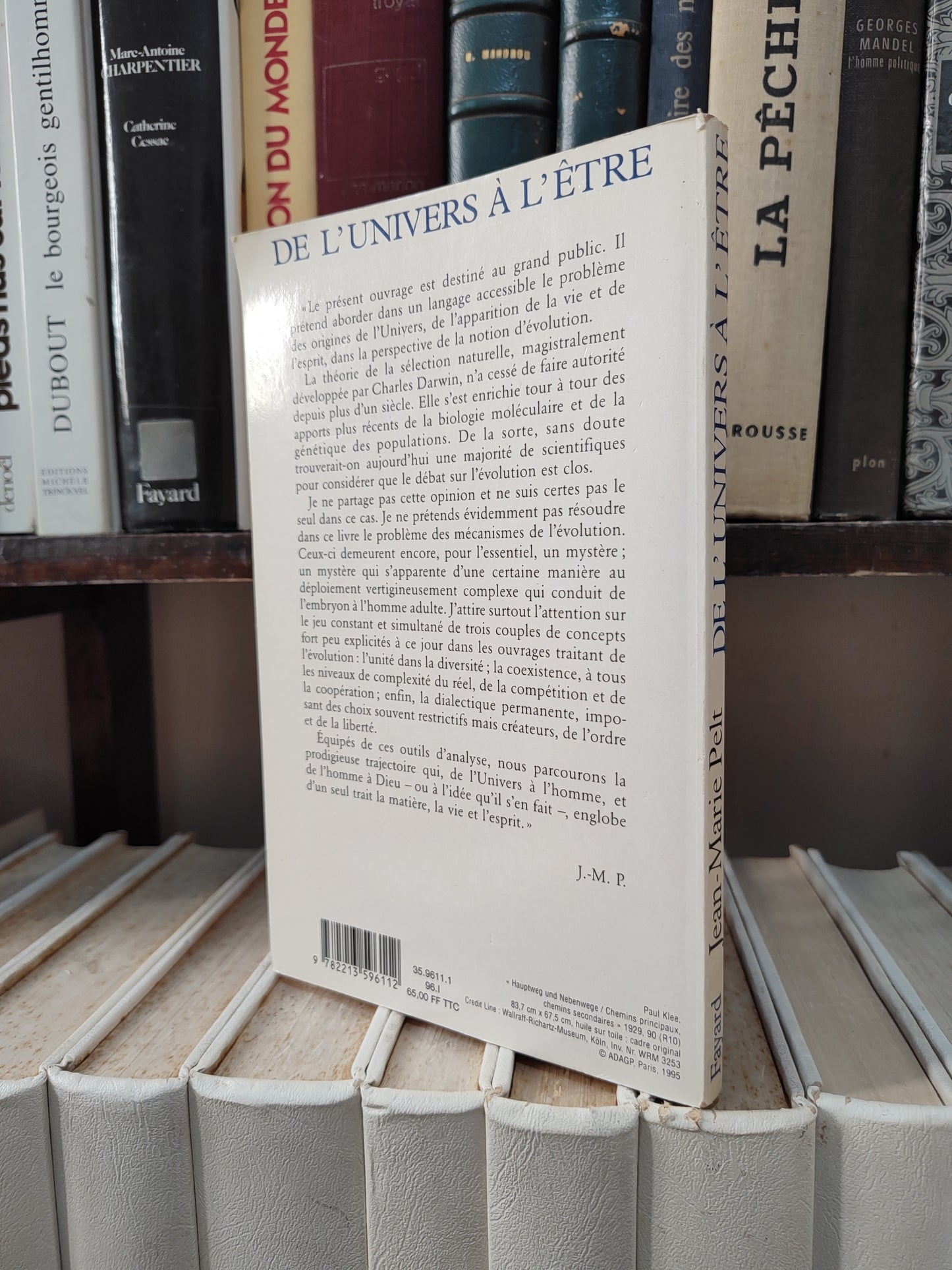Pelt - De l'univers à l'être