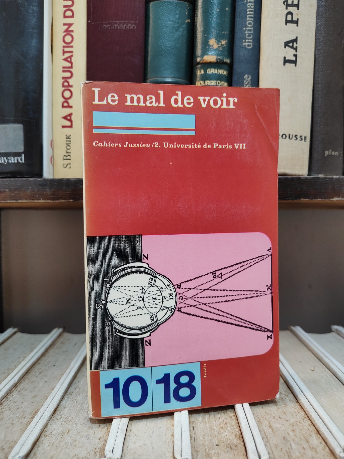 Le mal de voir