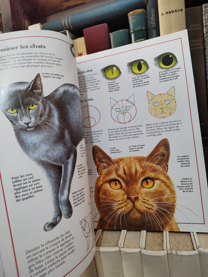 Le grand livre du dessin : un guide pratique complet