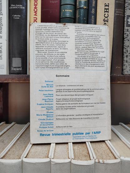 Fluidité et repères culturels ( connexions n 33 )