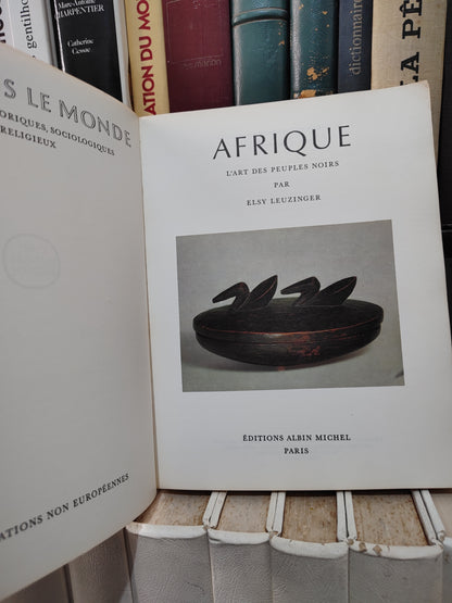 Afrique : L'art des peuples noirs