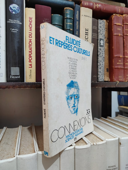 Fluidité et repères culturels ( connexions n 33 )