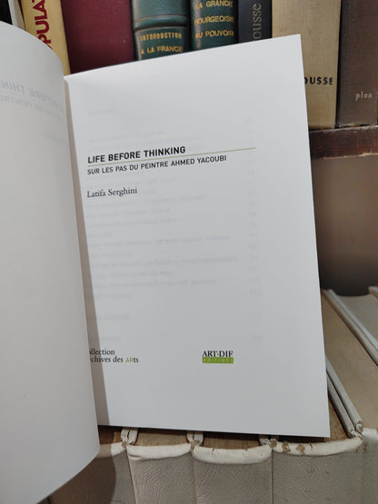 Serghini - life before thinking sur les pas du peintre Ahmed Yacoubi