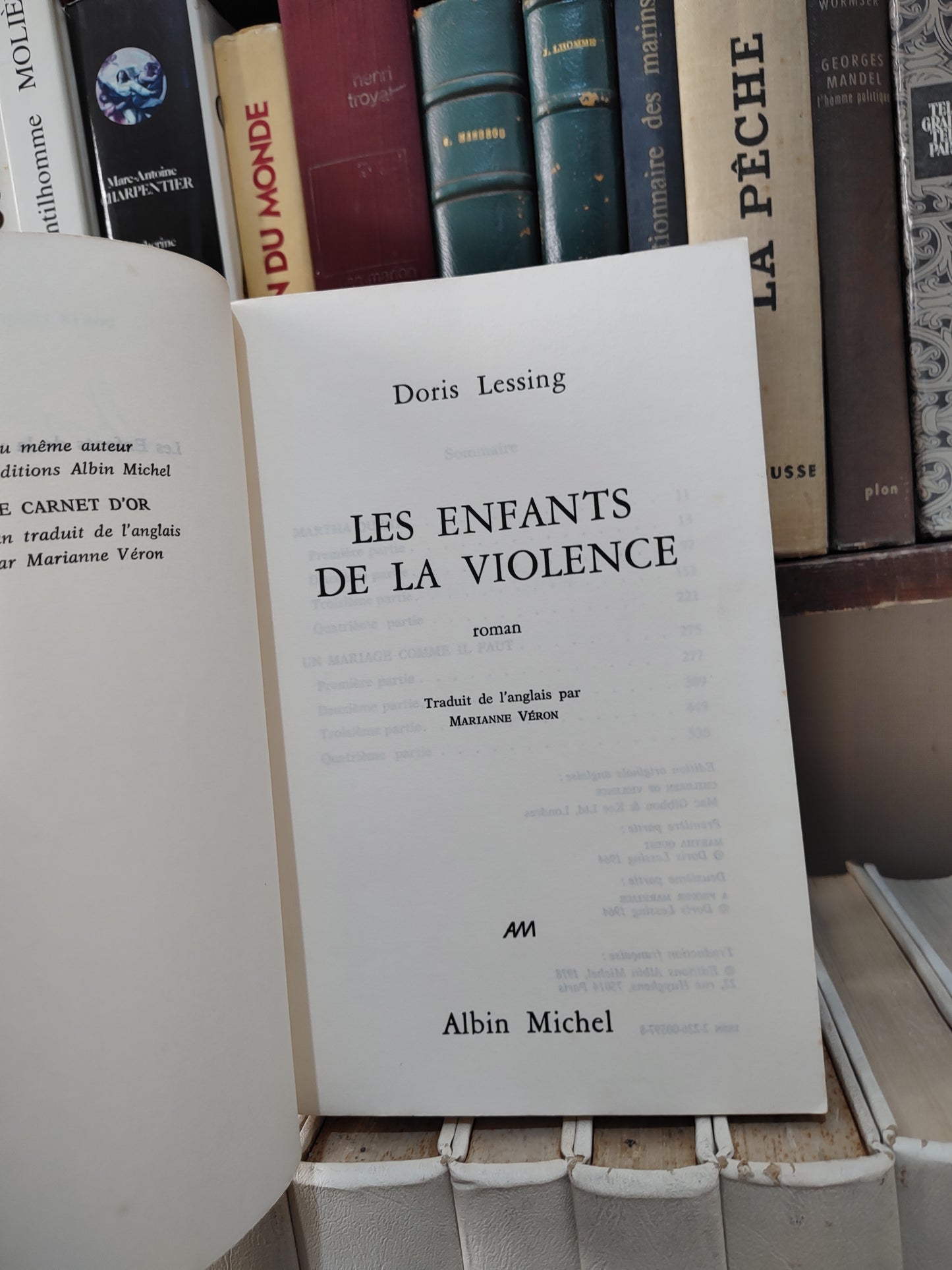 Lessing - Les enfants de ma violence