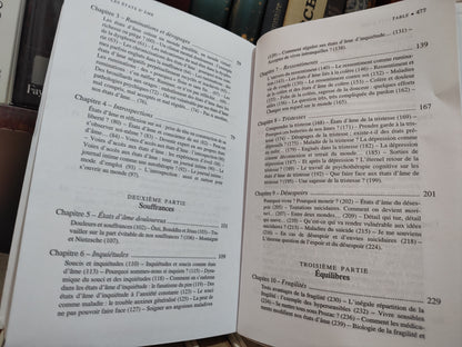 André - Les états d'âme : un apprentissage de la sérénité