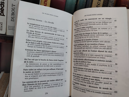 Cyrulnik - Les vilains petits canards