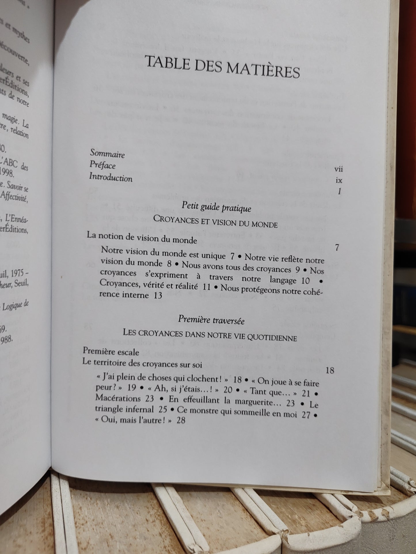 Tenenbaum - Nos paysages intérieurs : ces idées qui nous façonnent