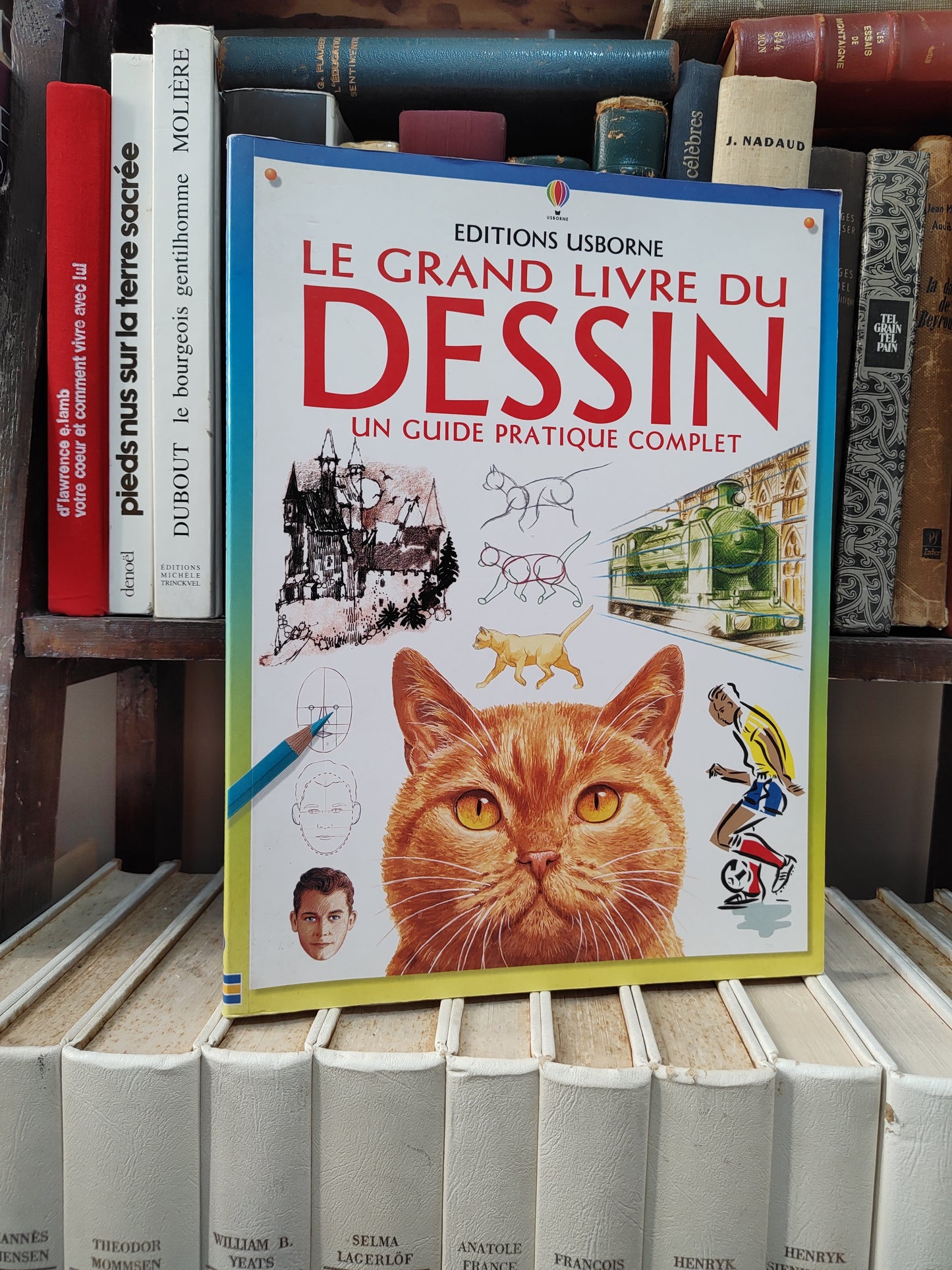 Le grand livre du dessin : un guide pratique complet