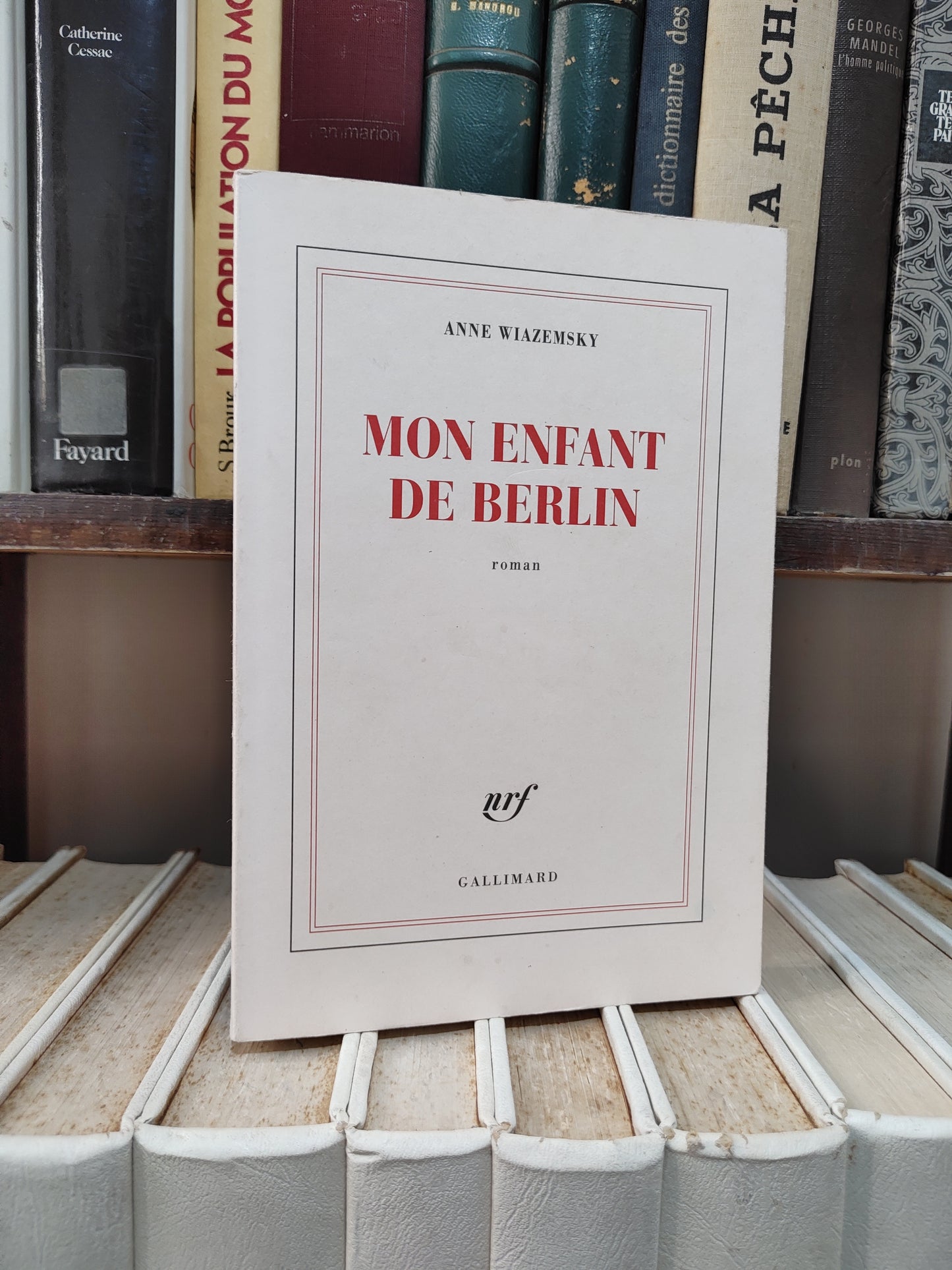Anne - Mon enfant de Berlin