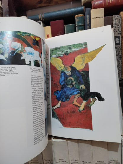 Gauguin : l'homme, la vie l'œuvre