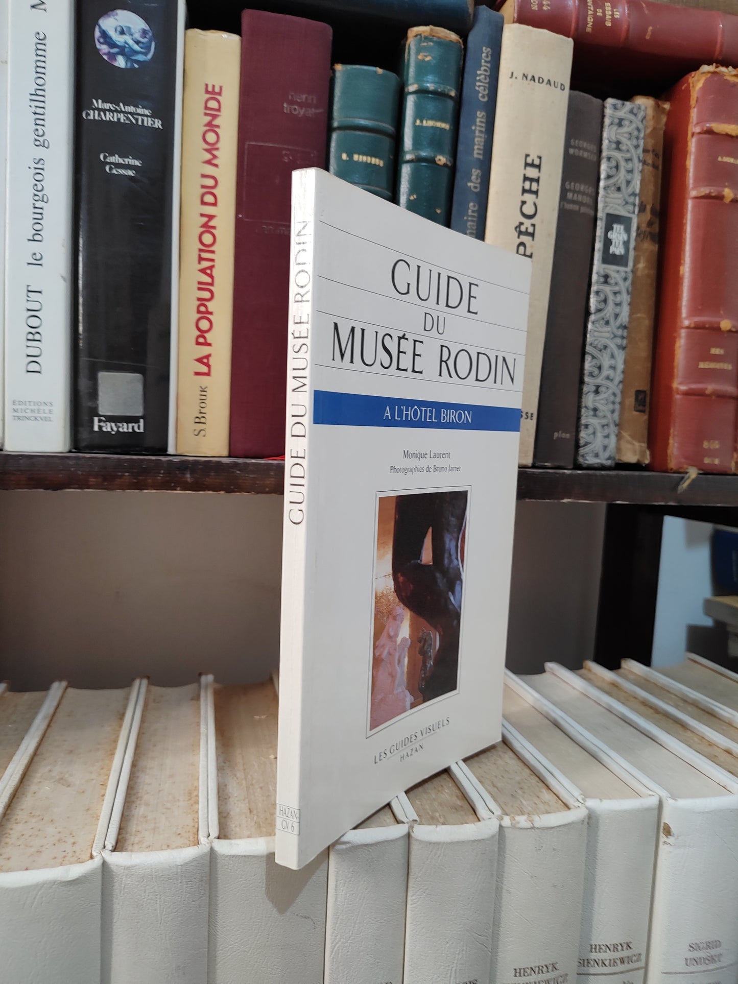 Laurent - Guide du musée Rodin