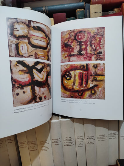 F Zahi - 30 ans de mécénat histoire d'une collection