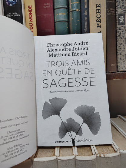 André - Trois amis en quête de sagesse