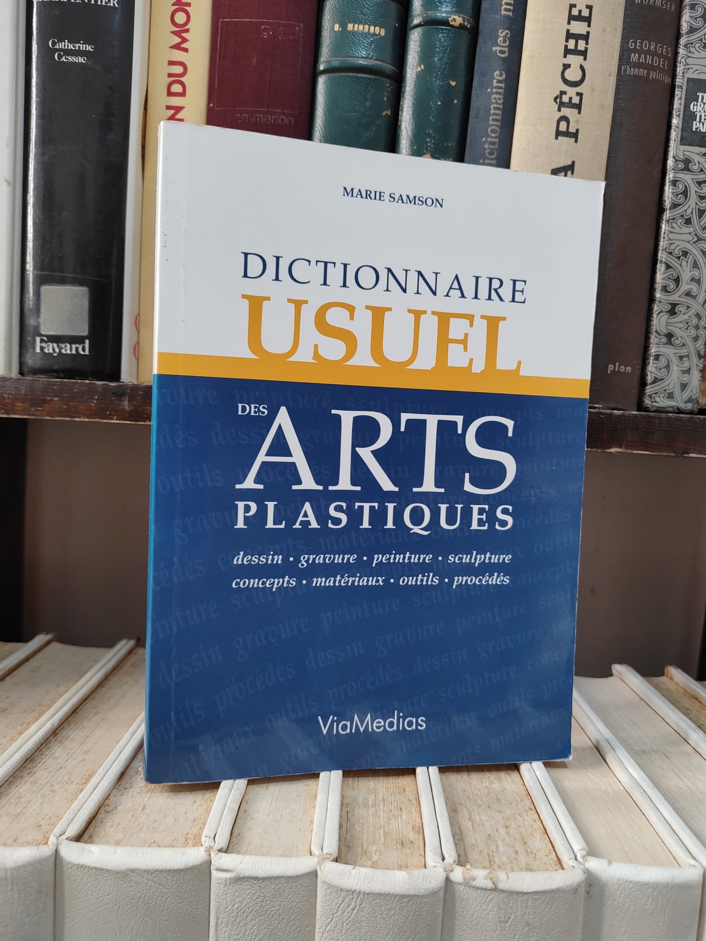 Dictionnaire usuel des arts plastiques
