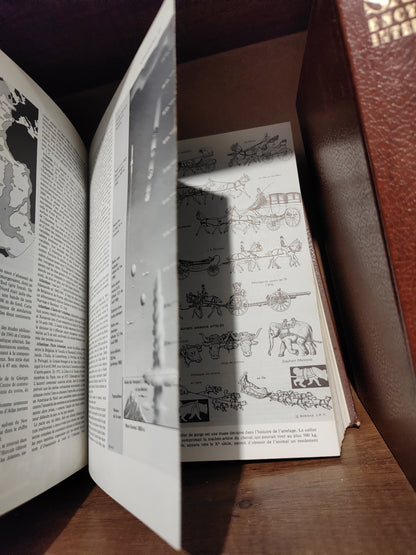 SAVOIR Encyclopédie internationale