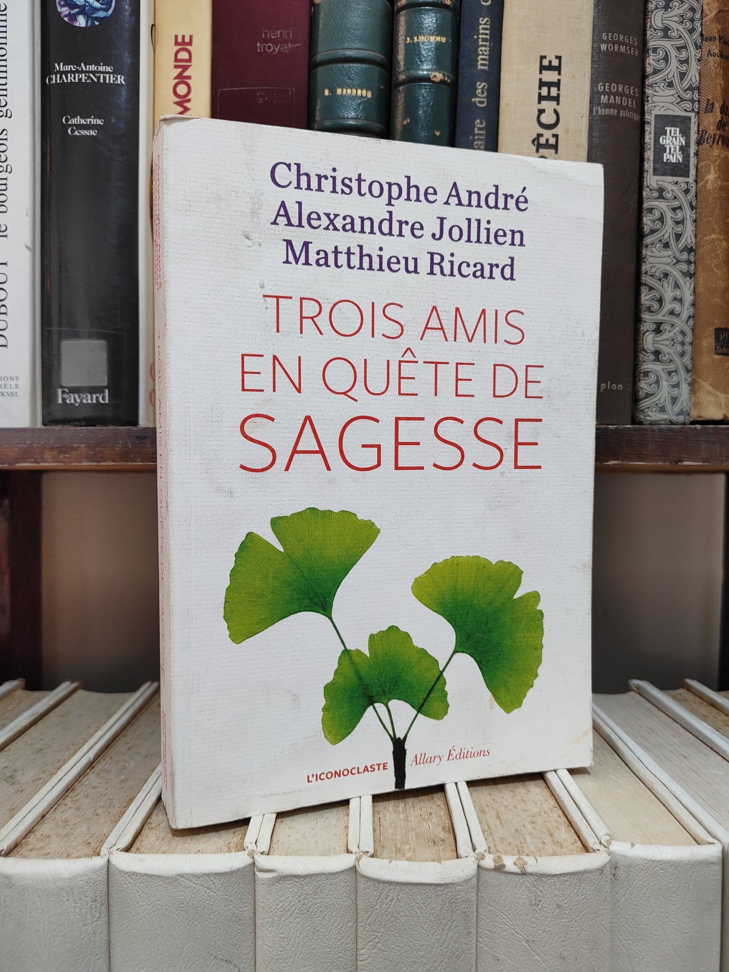 André - Trois amis en quête de sagesse