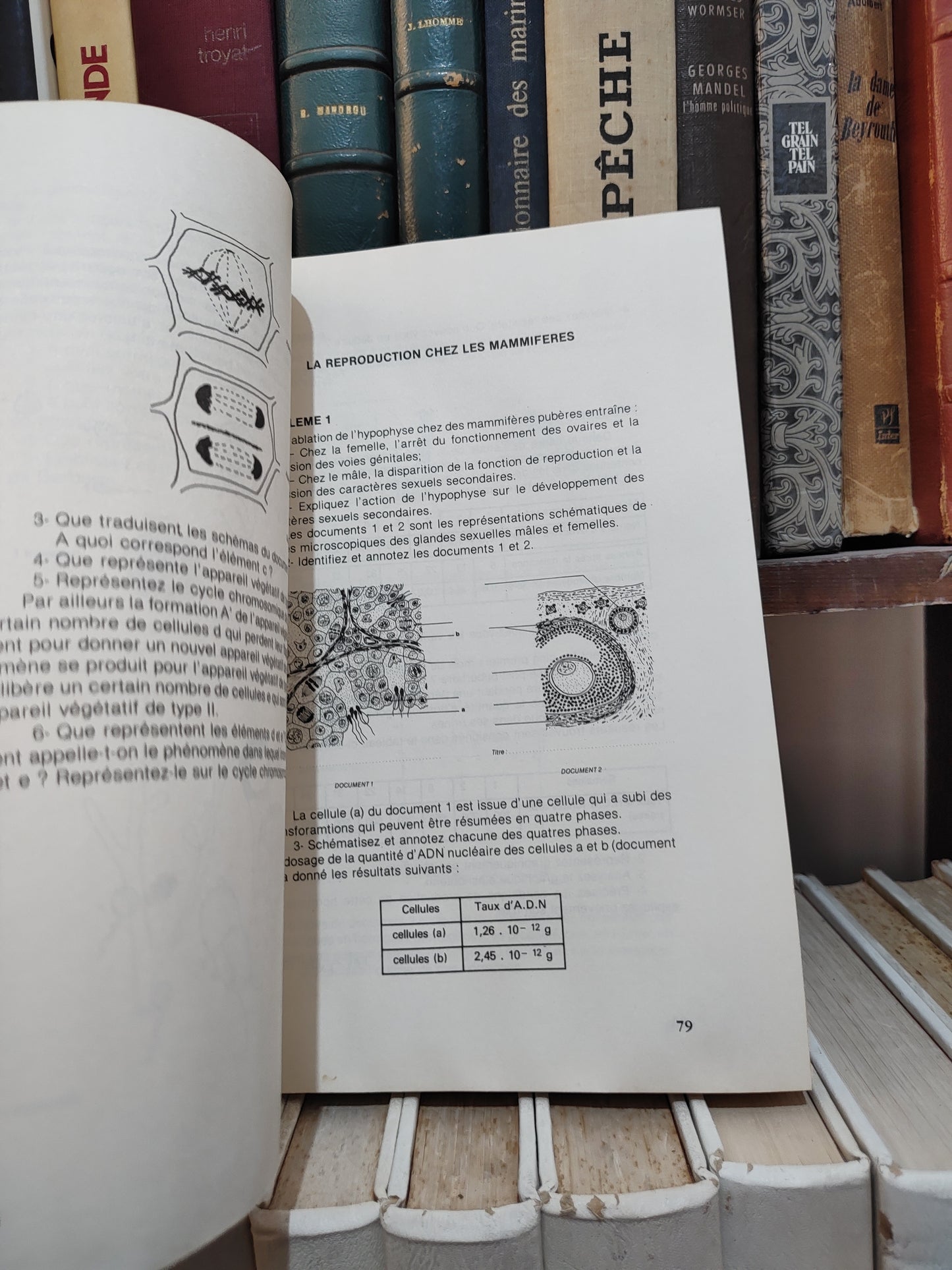 Jamal & Les sciences naturelles au baccalauréat marocain