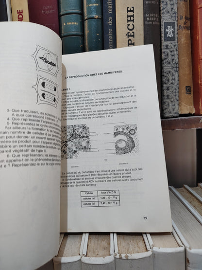 Jamal & Les sciences naturelles au baccalauréat marocain