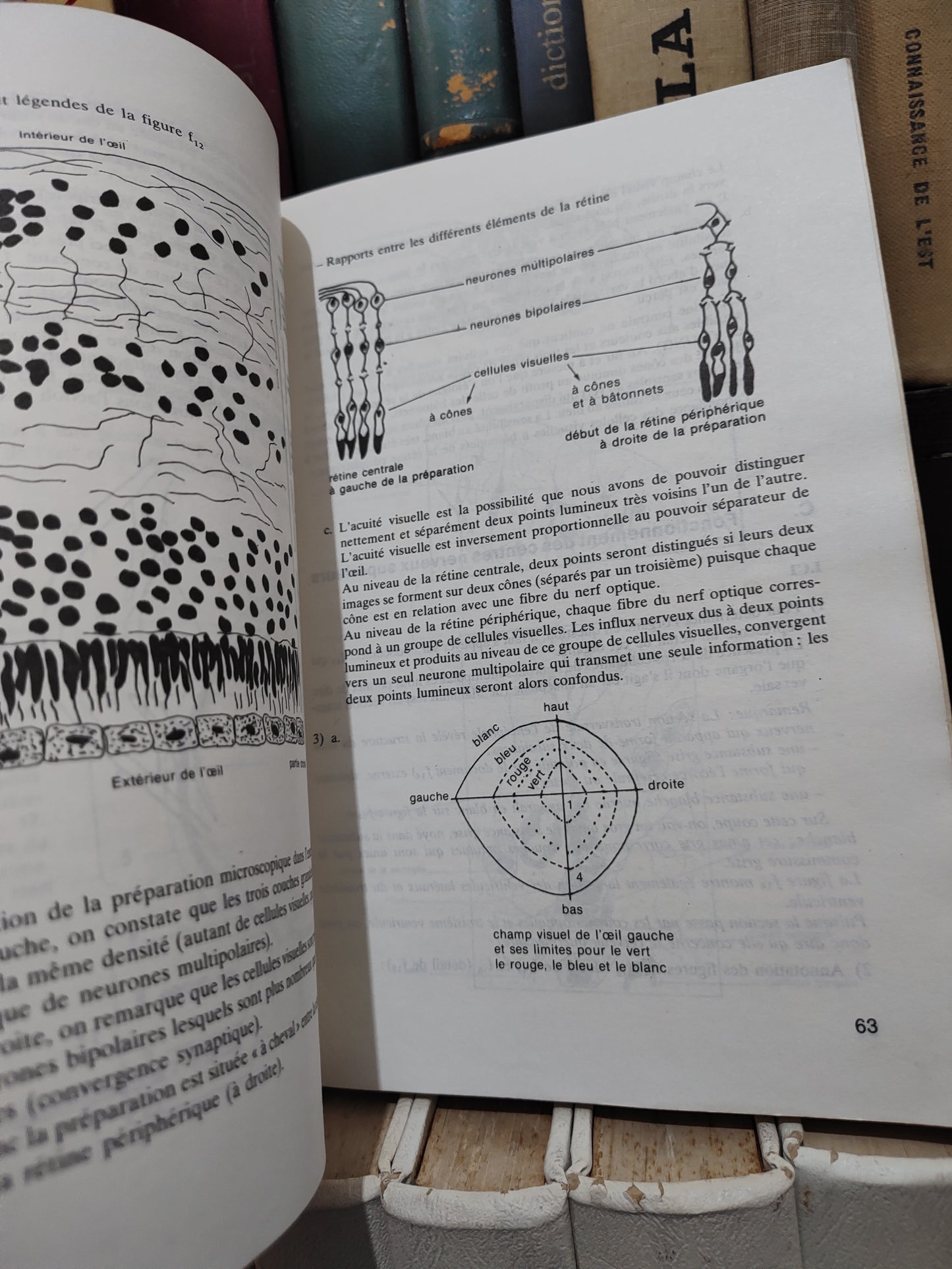 Comment résoudre les problèmes de sciences naturelles