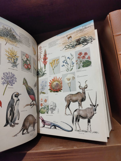 Focus nouvelle encyclopédie internationale