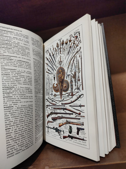 Dictionnaire Quillet de la langue française