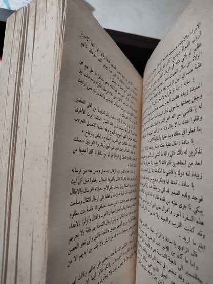 سيرة الاميرة ذات الهمة