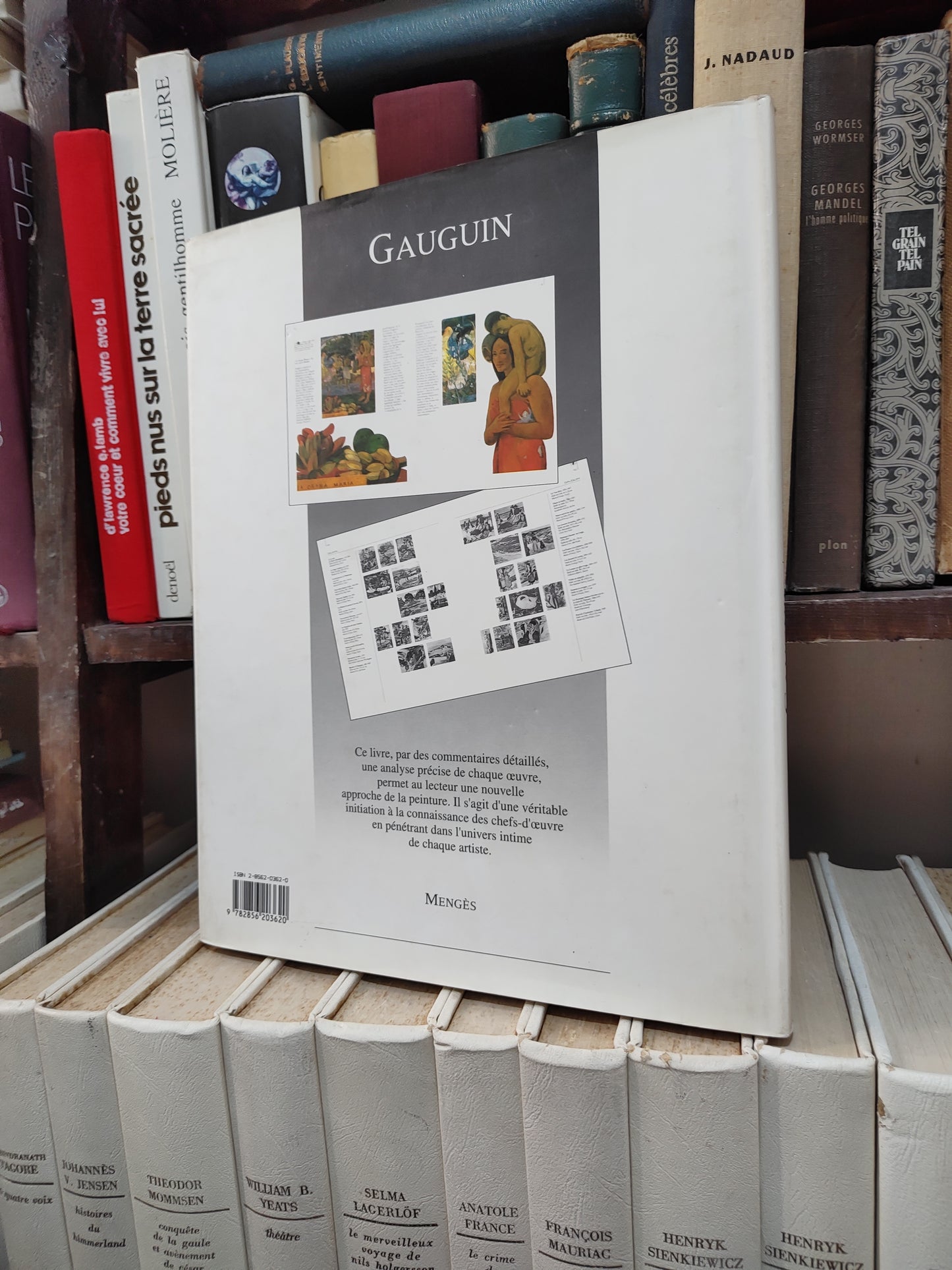 Gauguin : l'homme, la vie l'œuvre