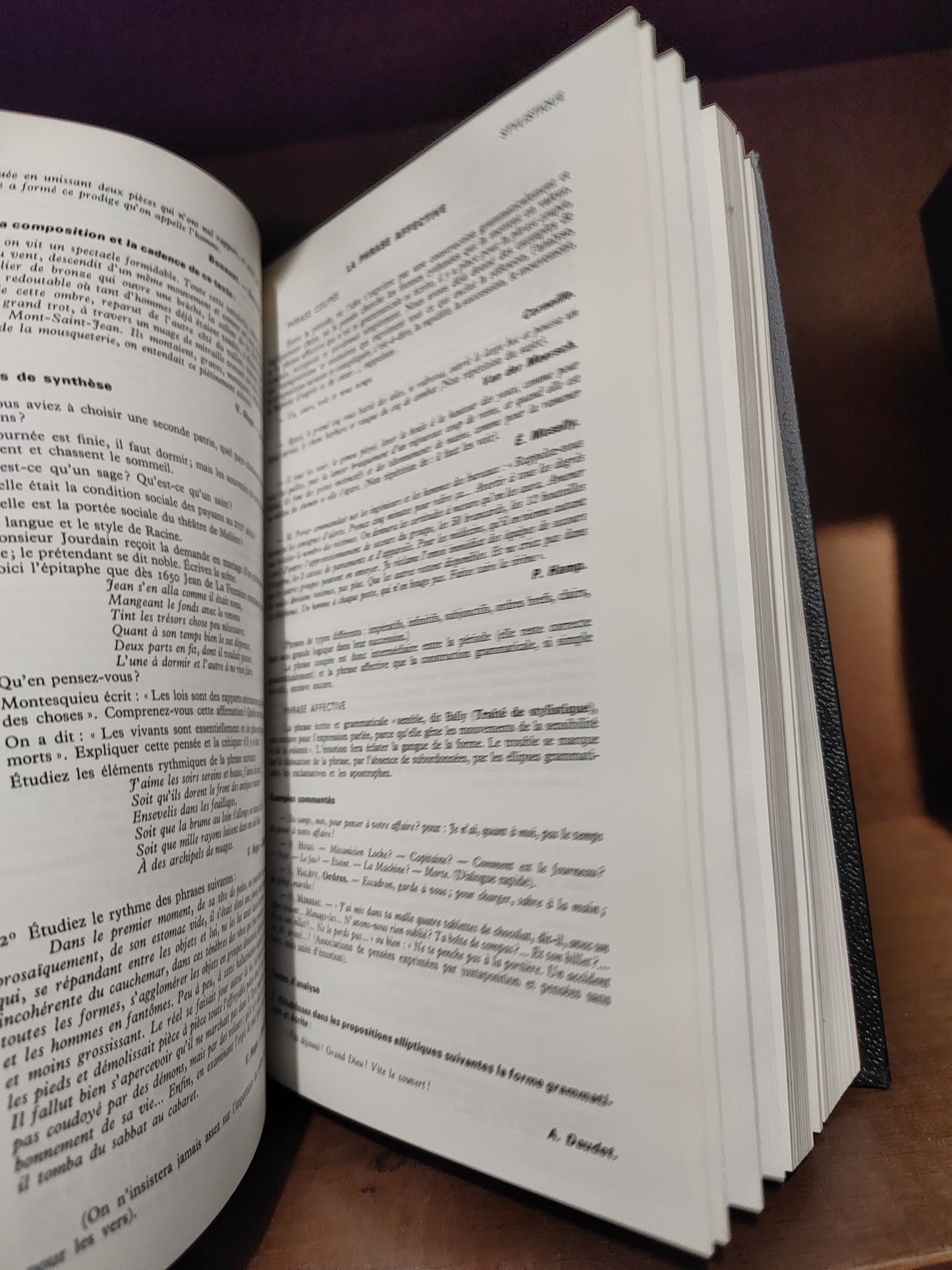 Dictionnaire Quillet de la langue française
