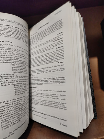Dictionnaire Quillet de la langue française