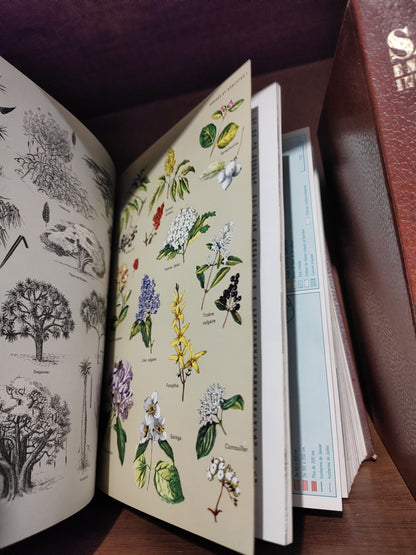 SAVOIR Encyclopédie internationale