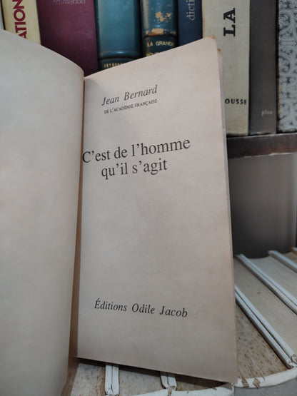 Bernard - C'est de l'homme qu'il s'agit