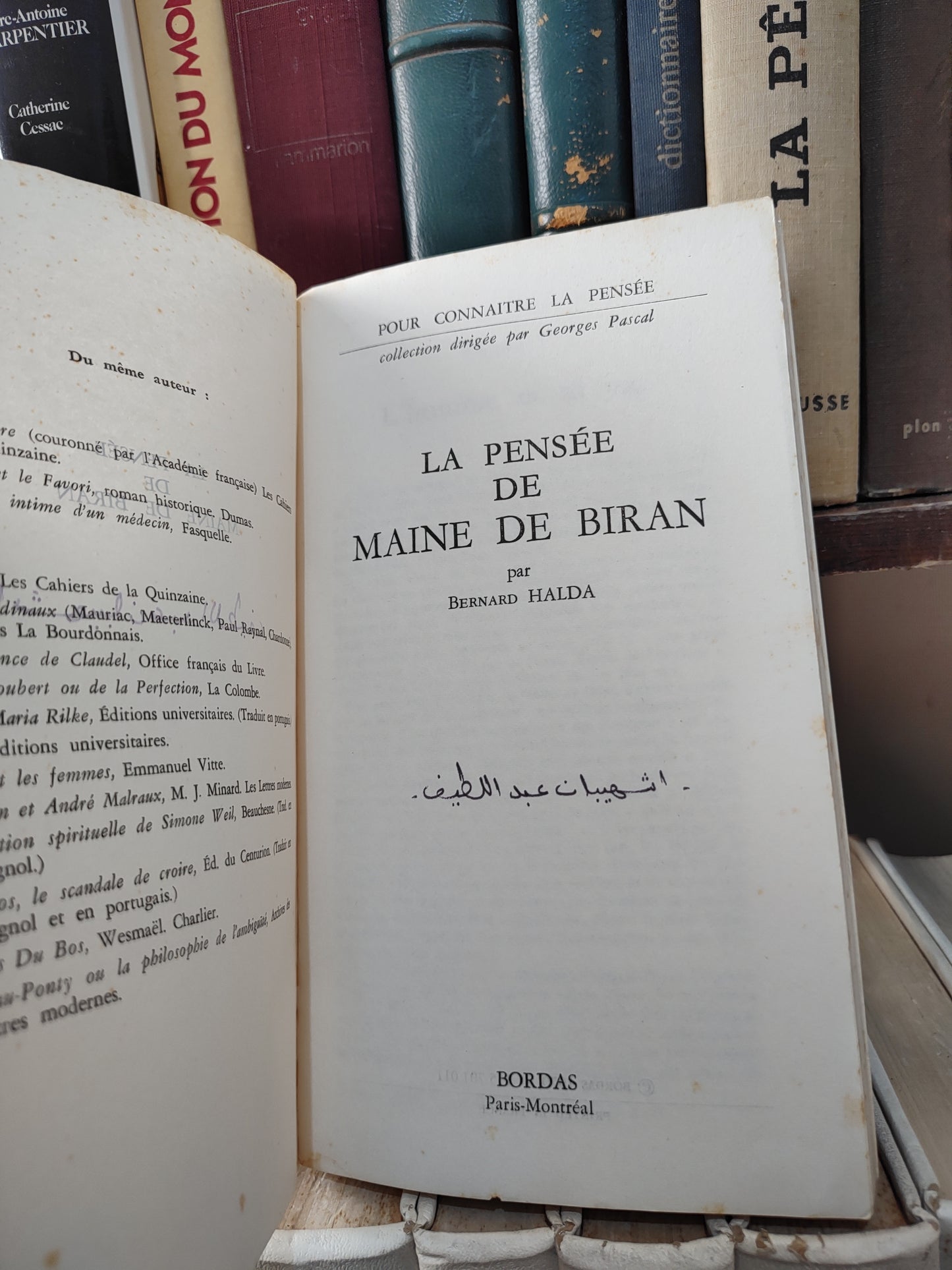 Halda - La pensée de maine de Brian