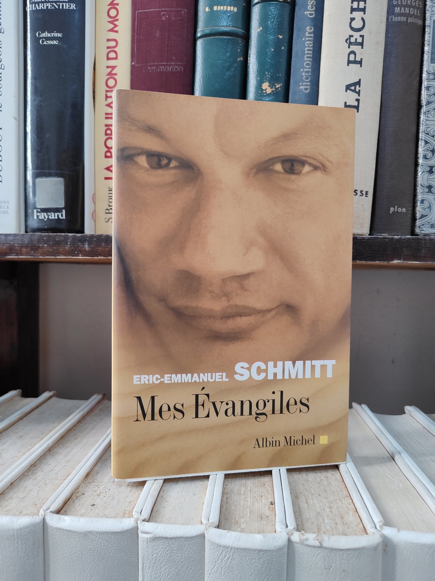 Schmidt - Mes Évangiles