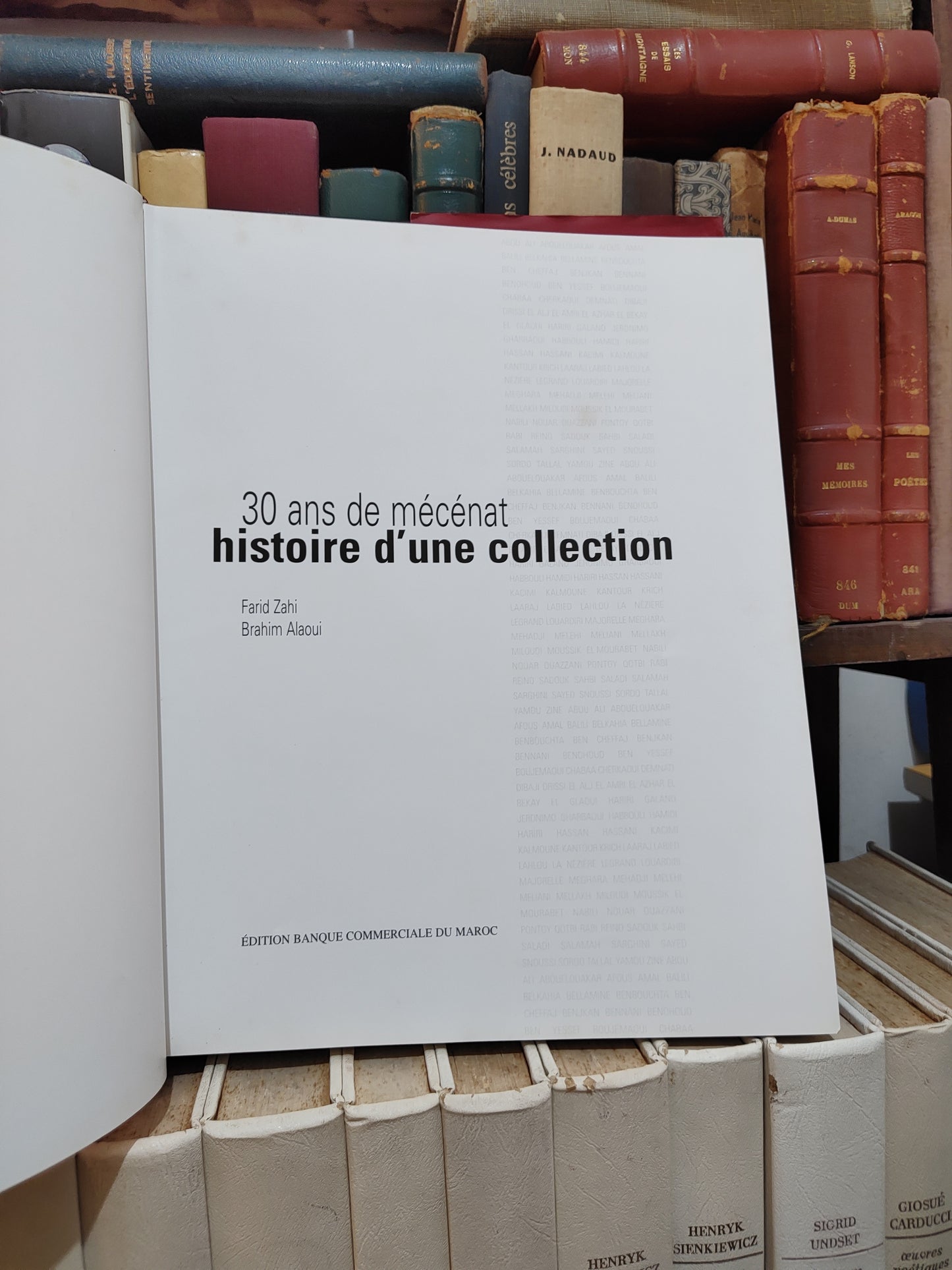 F Zahi - 30 ans de mécénat histoire d'une collection