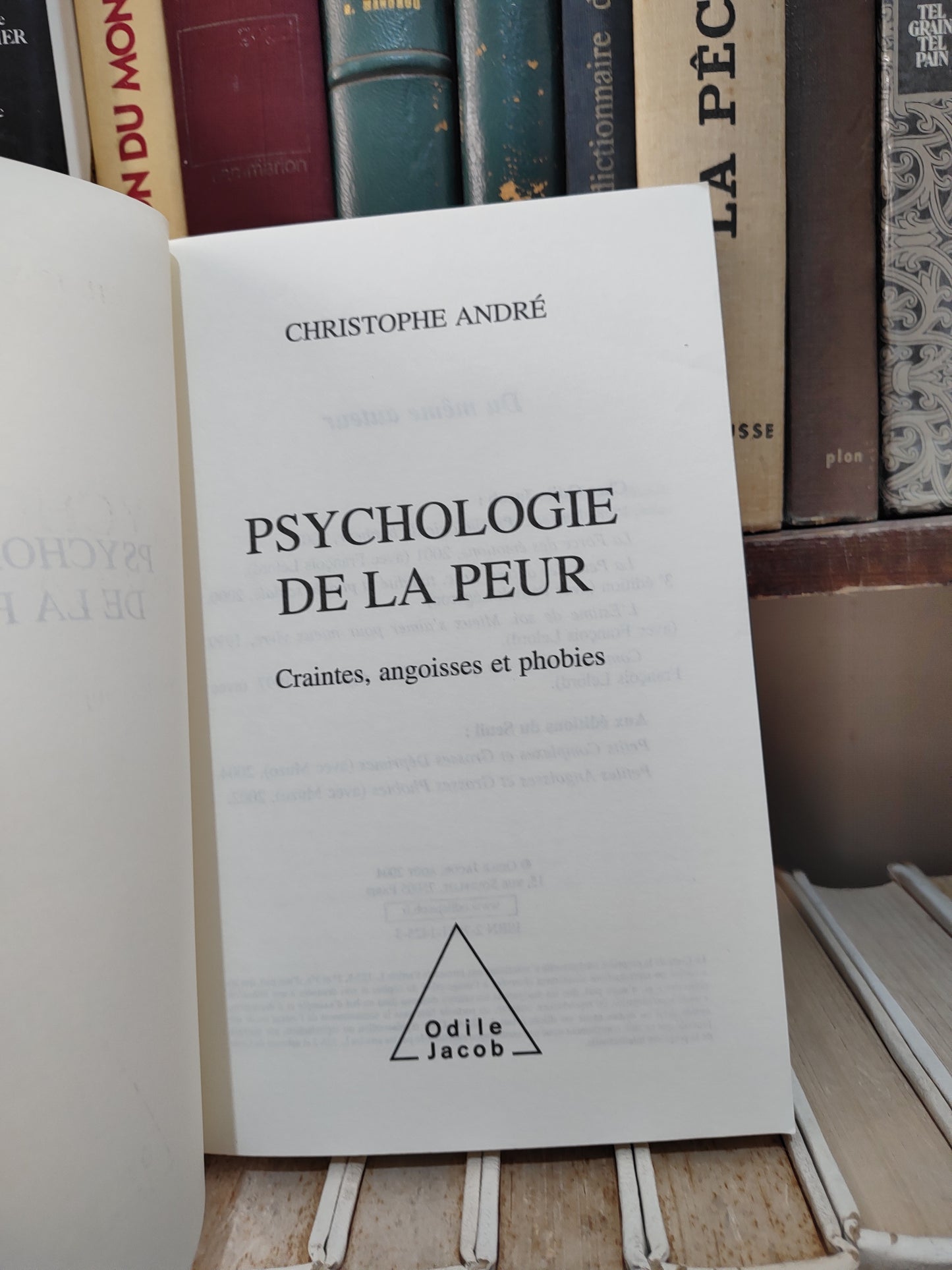André - Psychologie de la peur