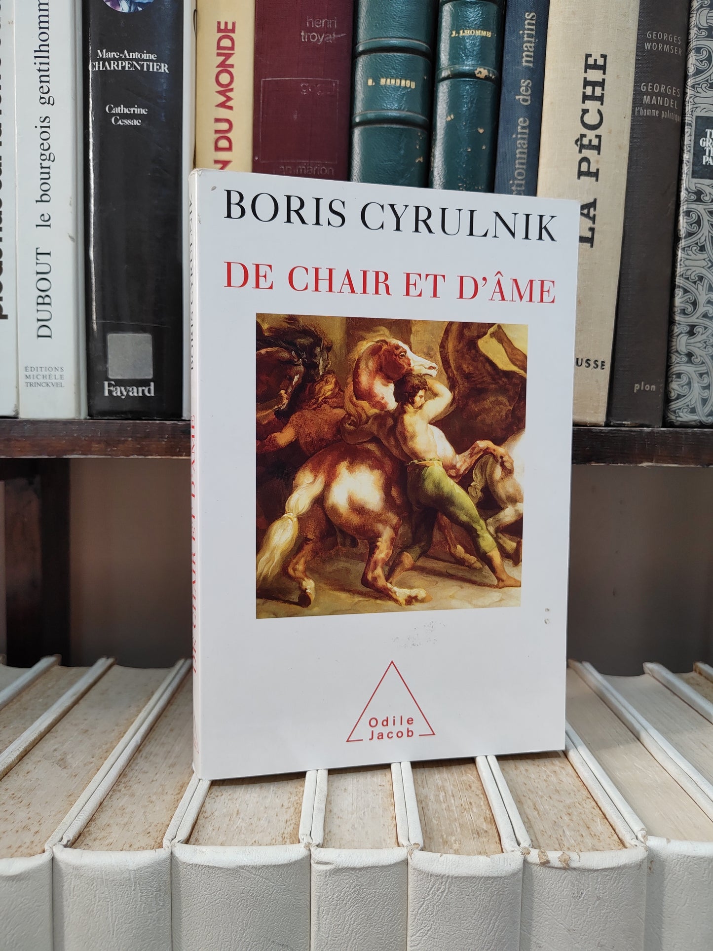 Cyrulnik - De chair et d'âme