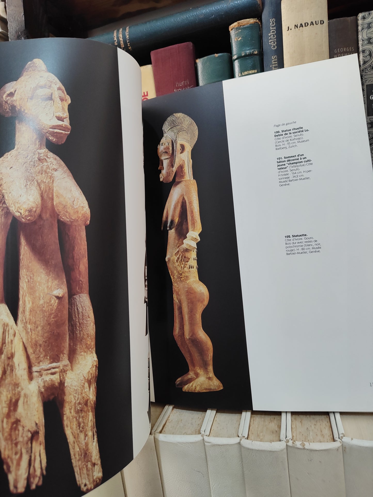 Meyer - Afrique noire masques sculpture bijoux