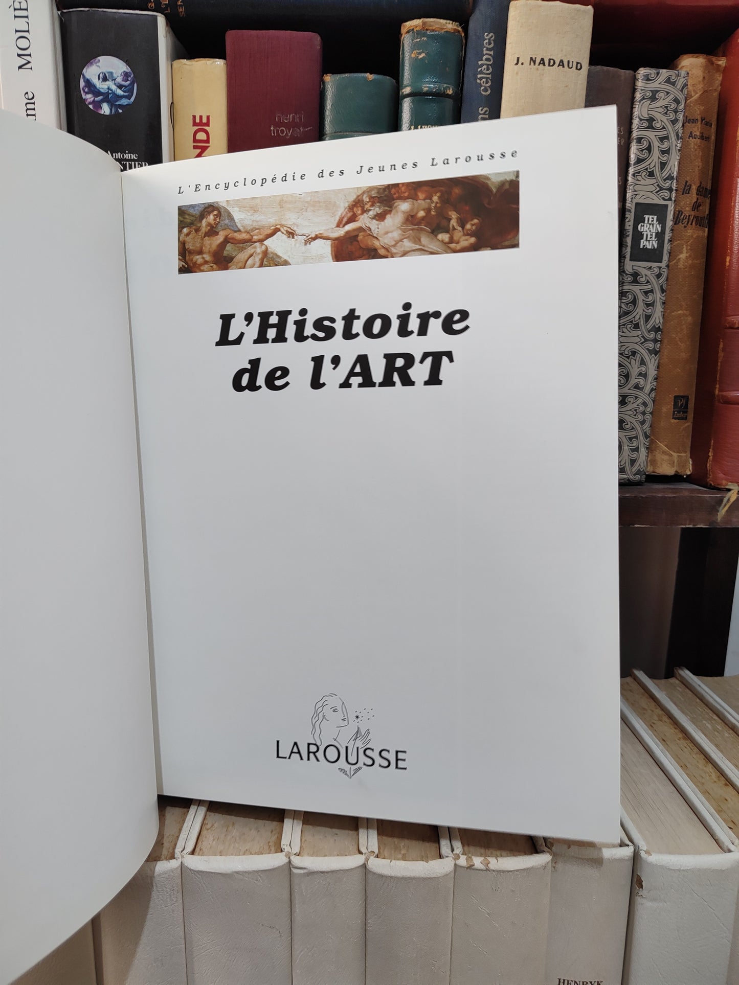 L'histoire de l'Art