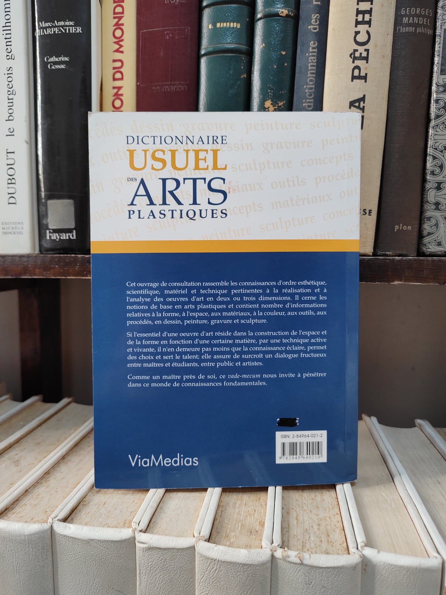 Dictionnaire usuel des arts plastiques