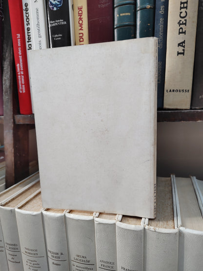 L'art a la page