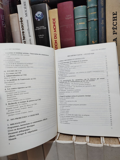 Se former pour enseigner les mathématiques