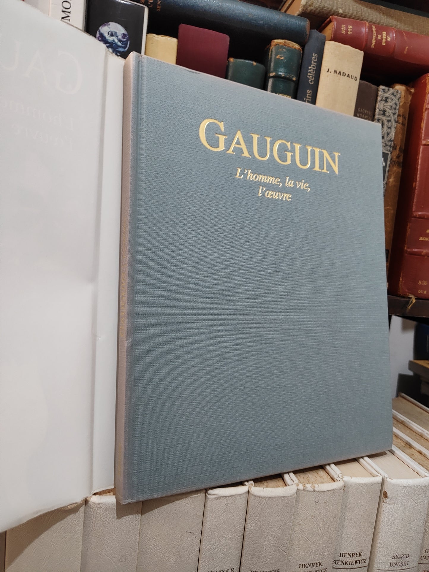Gauguin : l'homme, la vie l'œuvre
