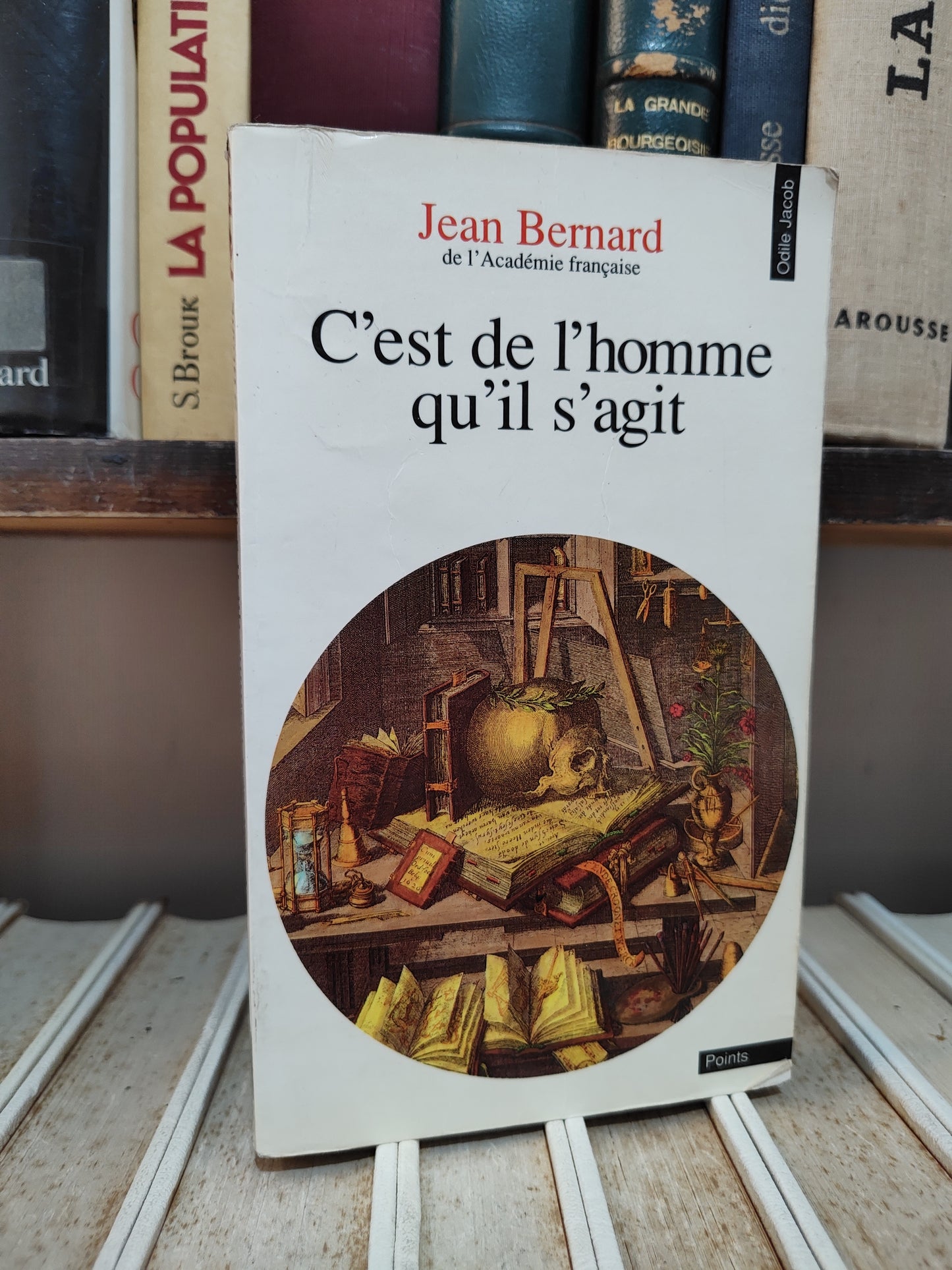 Bernard - C'est de l'homme qu'il s'agit
