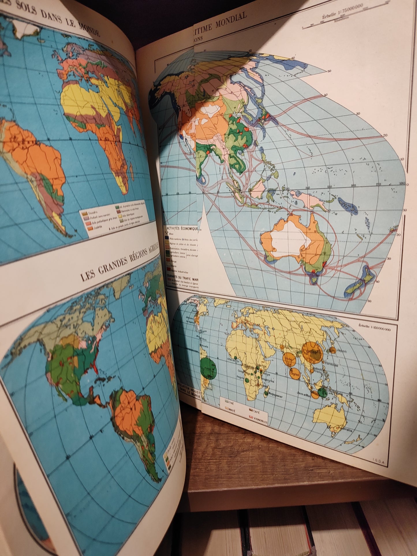L'encyclopédie géographique du XXe siècle 1950