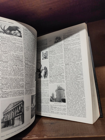 Dictionnaire Pratique Quillet