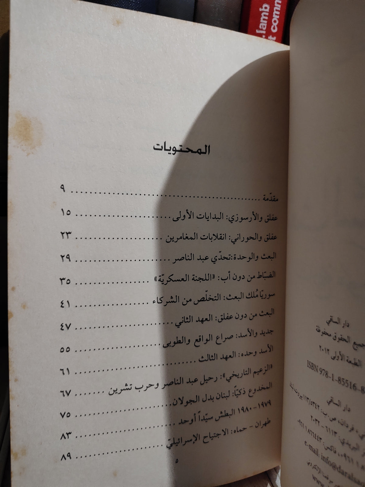 صاغية - البعث السوري تاريخ موجز