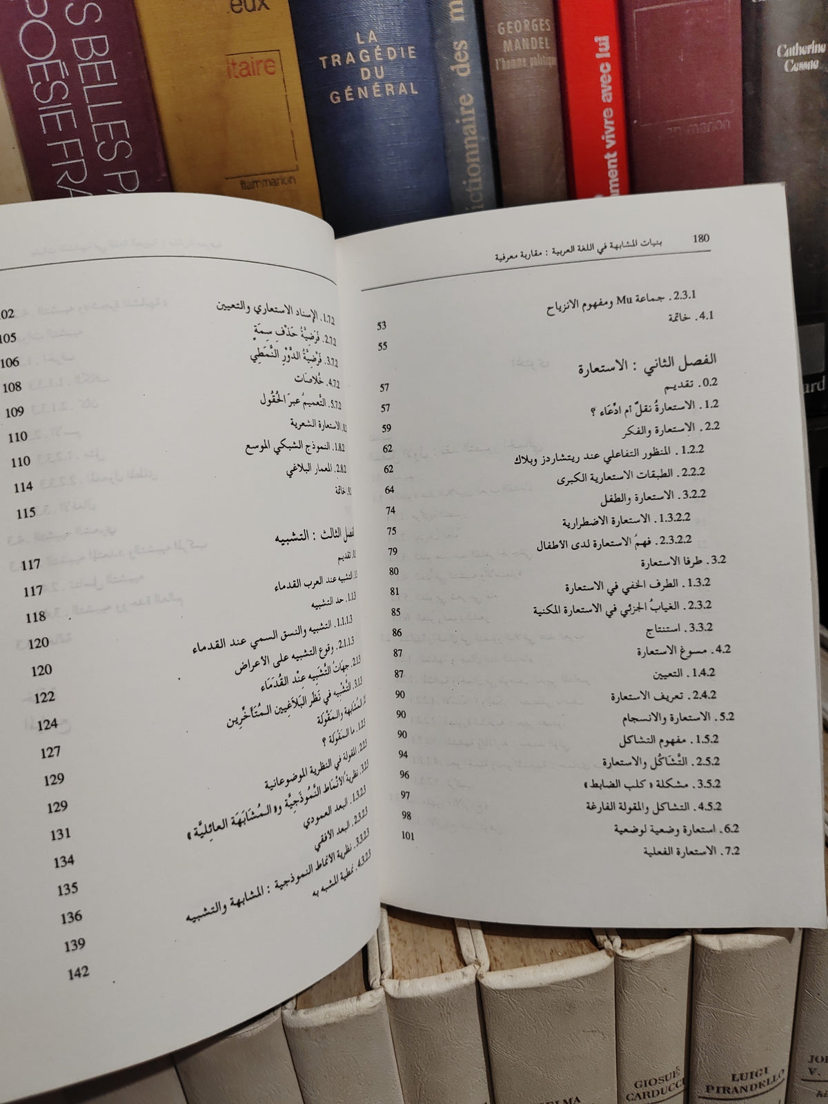 سليم - بنيات المشابهة في اللغة العربية