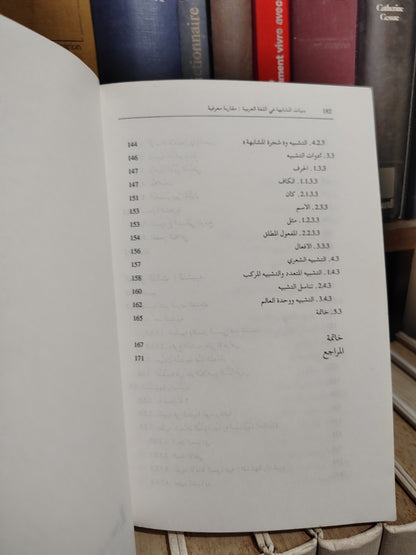 سليم - بنيات المشابهة في اللغة العربية