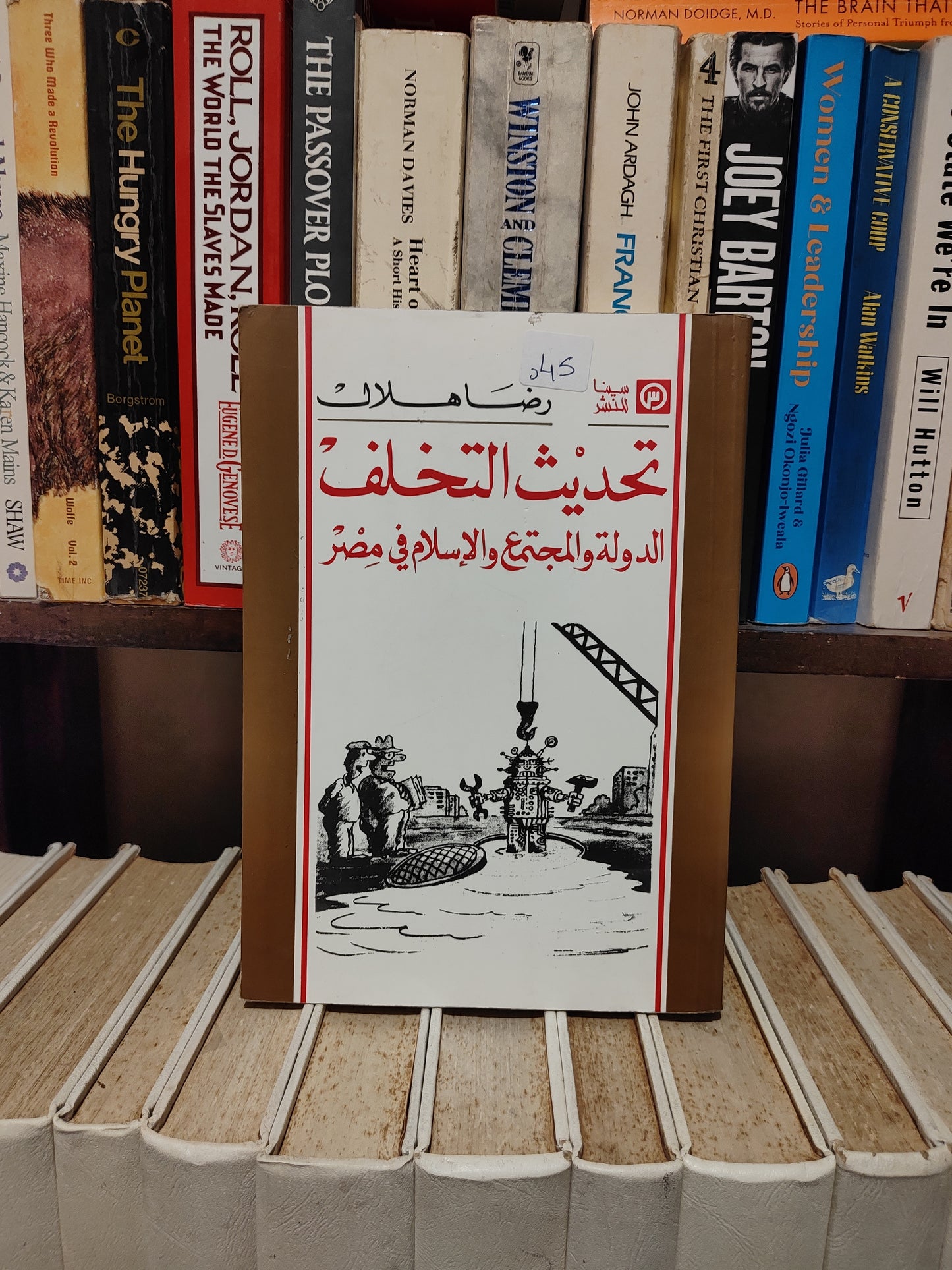 هلال - تحديث التخلف الدولة و المجتمع و الاسلام في مصر