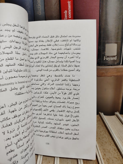 الزين - وضعية ترفو حمايا لتروى
